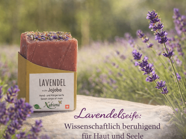Lavendel – Ruhe für Haut, Kopf & Herz